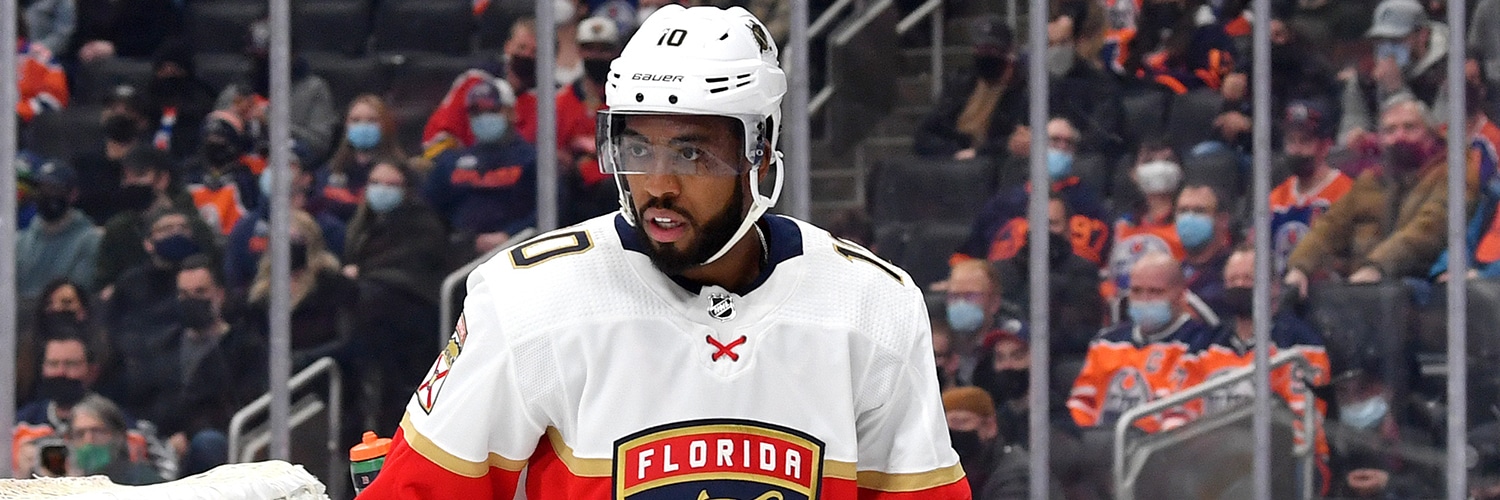 Anthony Duclair Action Shot